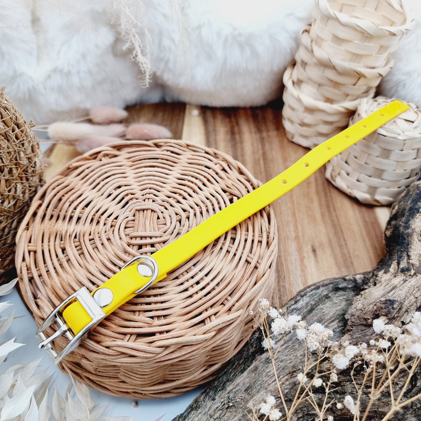 Yellow (SI)- Size XXS (12mm)* - Mini Biothane Dog Collar