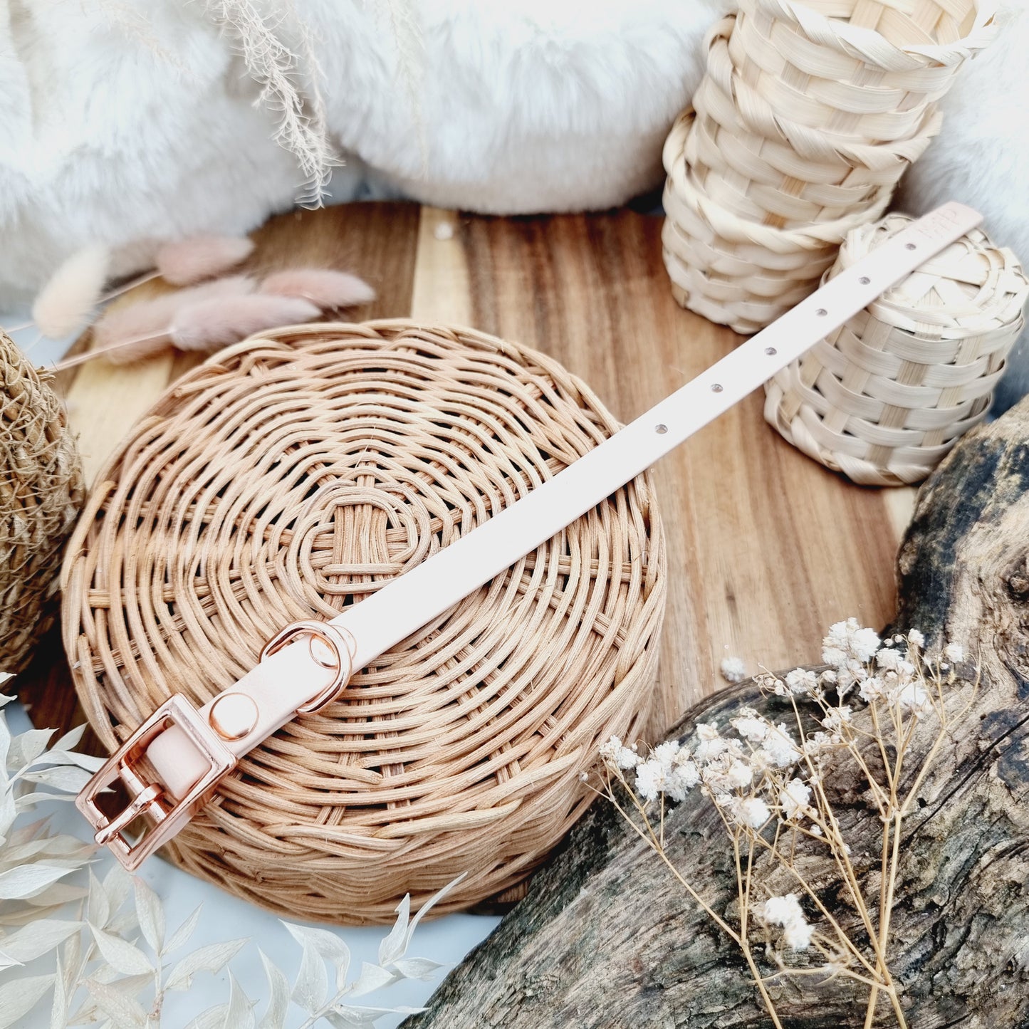 Powder Pearl (RG)- Size XXS (12mm)* - Mini Biothane Dog Collar