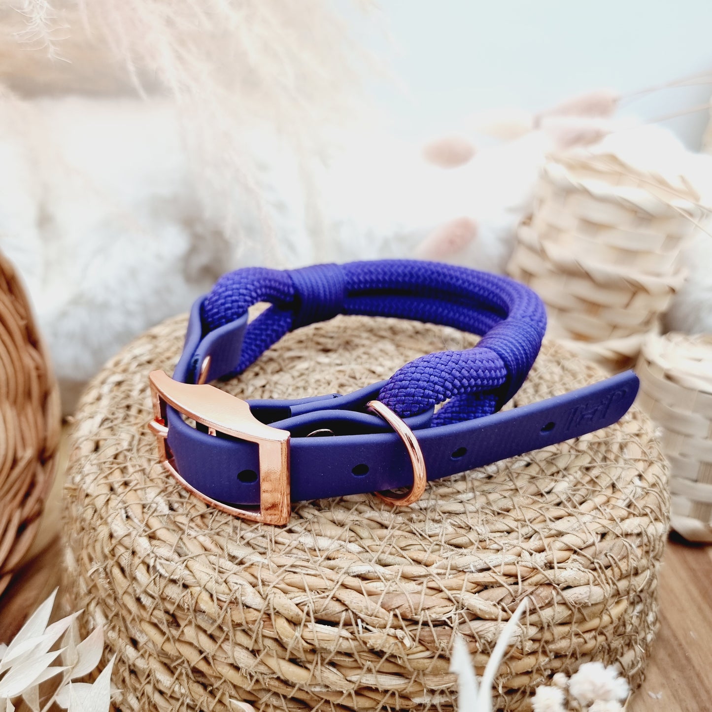 Purple - Rope Biothane Dog Collar