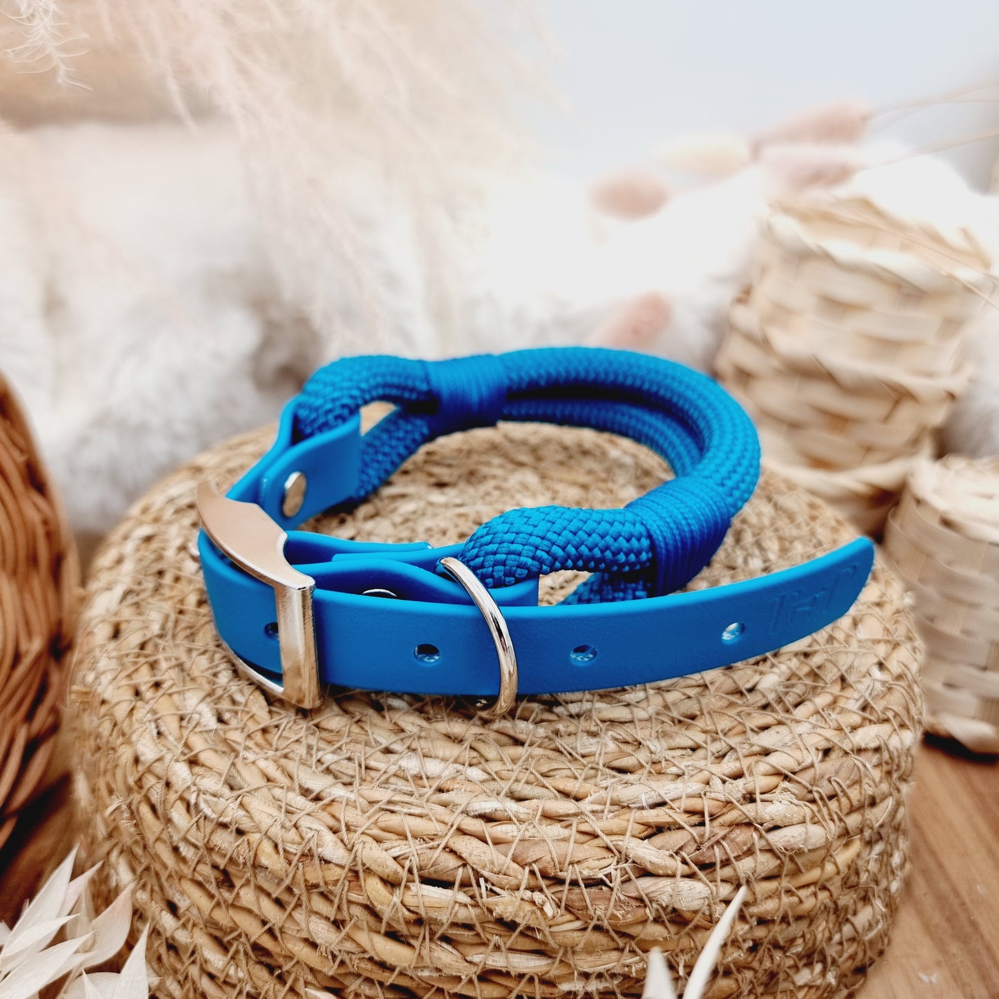 Lagune - Rope Biothane Dog Collar