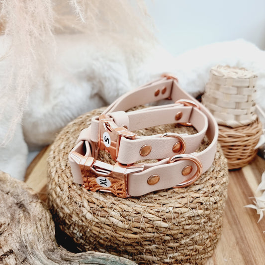 Powder Pearl (RG) - Biothane Fast Release Buckle Dog Collar