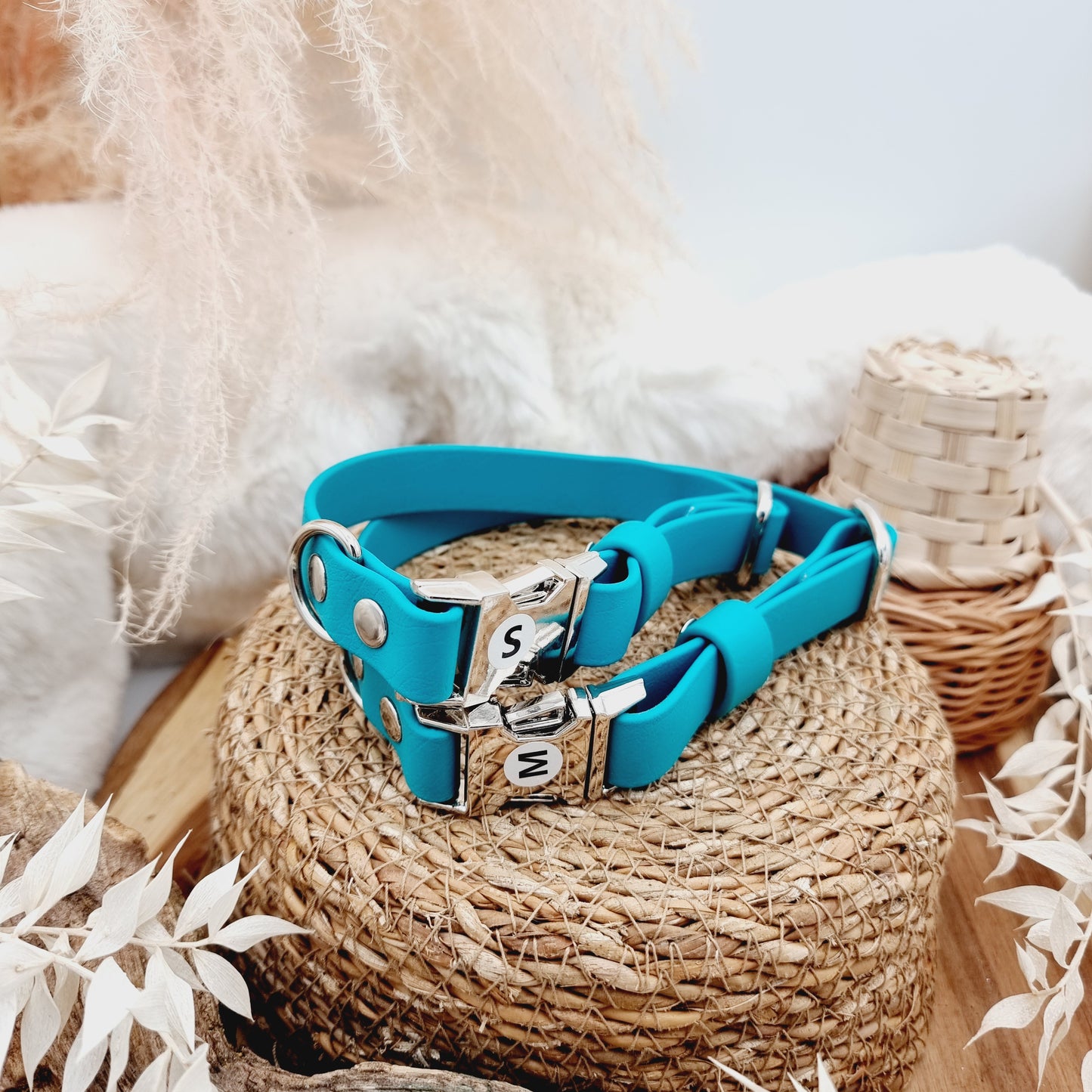 Teal (SI) - Biothane Fast Release Buckle Dog Collar