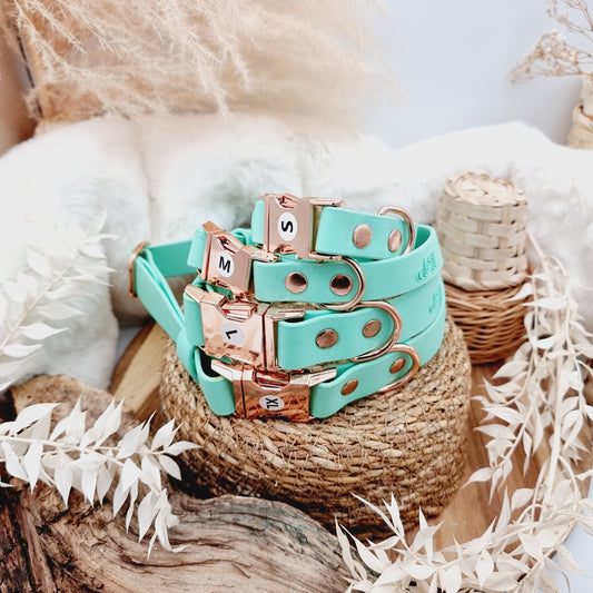 Mint (RG)- Biothane Fast Release Buckle Dog Collar