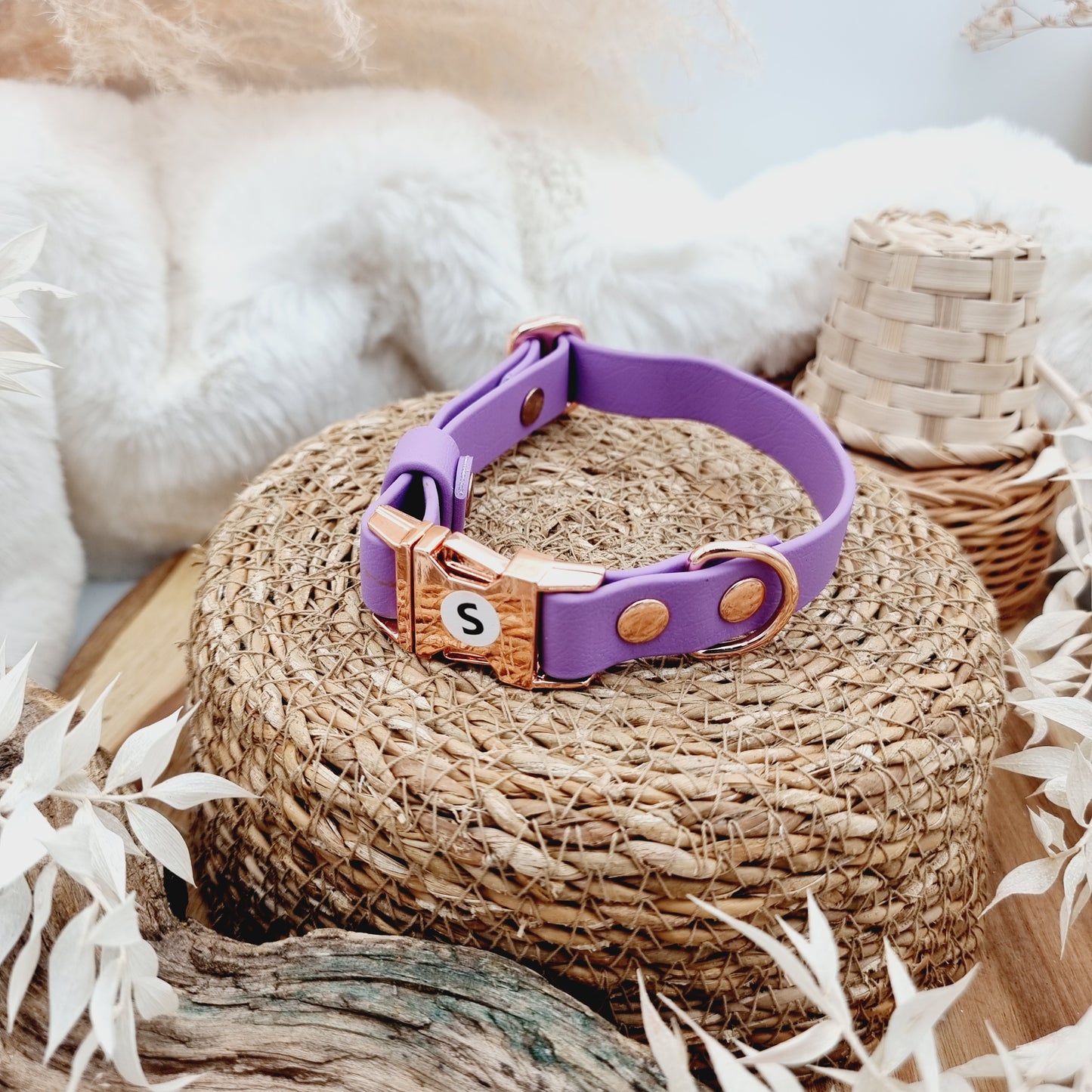 Amethyst (RG) - Biothane Fast Release Buckle Dog Collar