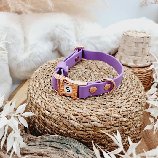 Amethyst (RG) - Biothane Fast Release Buckle Dog Collar