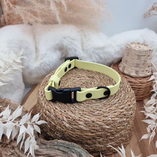 Lemon (BL)- Biothane Fast Release Buckle Dog Collar