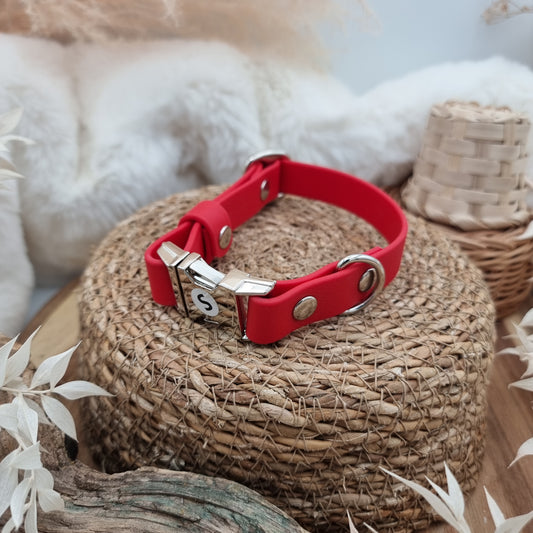 Red (SI)- Biothane Fast Release Buckle Dog Collar