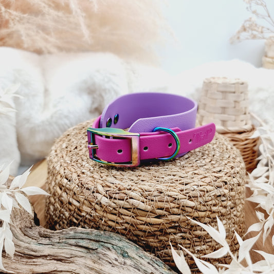 Amethyst & Pink Berry - two-coloured Biothane Sighthound Collar