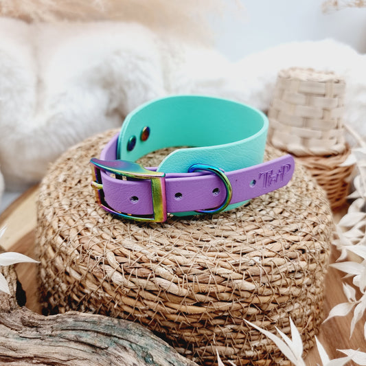 Mint & Amethyst - two-coloured Biothane Sighthound Collar