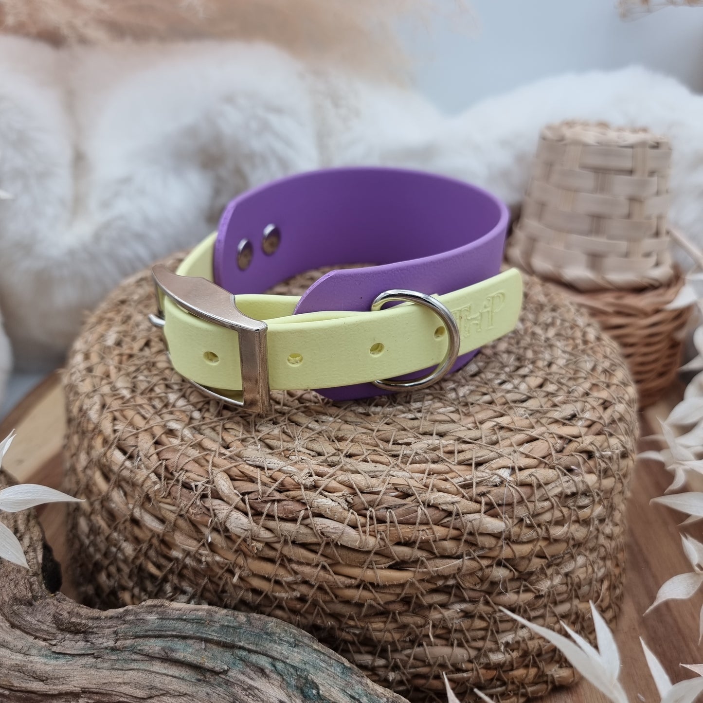 Amethyst & Lemon (SI) - two-coloured Biothane Sighthound Collar (1x Size S)