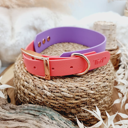Amethyst & Coral (RG) - two-coloured Biothane Sighthound Collar (1x Size L)