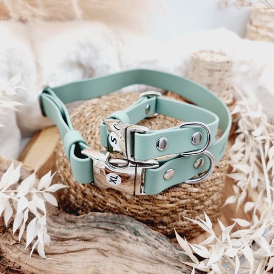 Sage - Everlast Quick Release Biothane Dog Collar