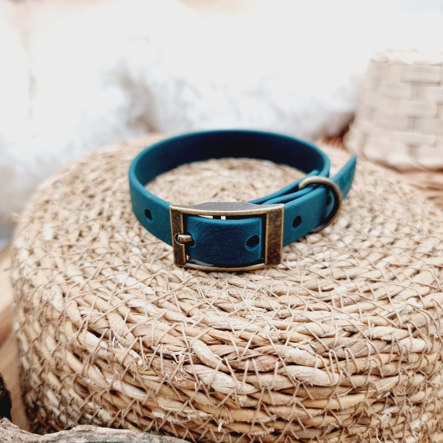 Dark Green (AB) Size XS - Biothane Dog Collar