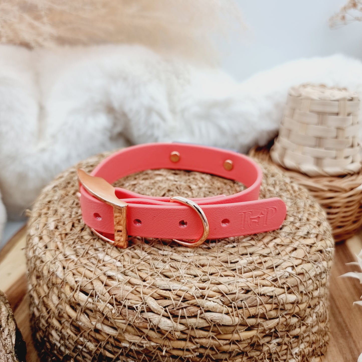 Coral - Size S (*name engraved Luna) - Biothane Dog Collar