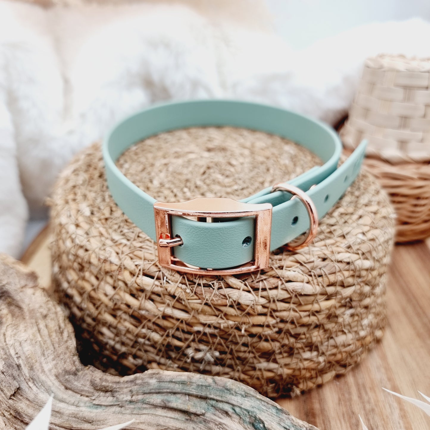 Sage (RG) - Size L (Slim 20mm width*) Biothane Dog Collar