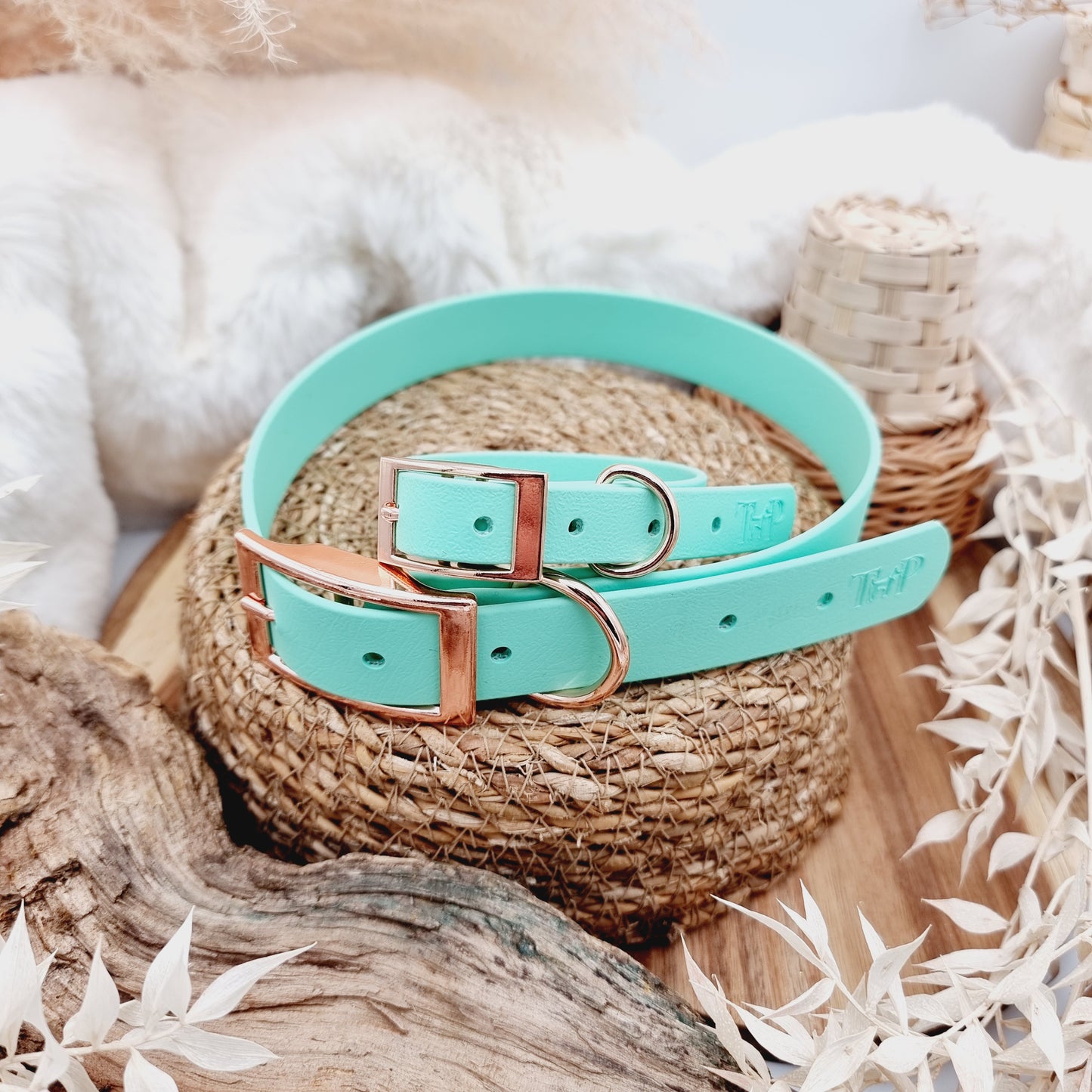 Mint (Rosegold HW) - Biothane Dog Collar
