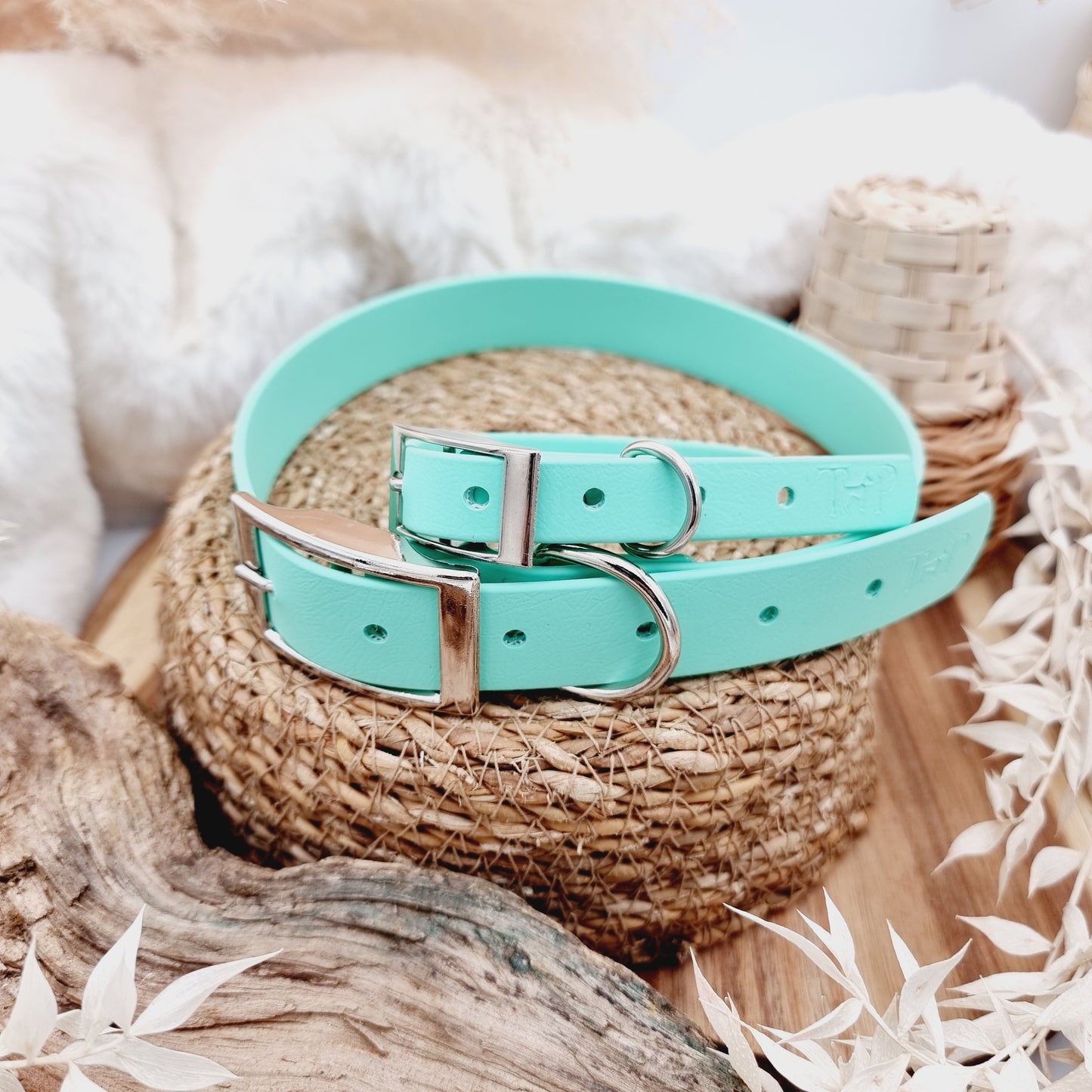 Mint (SI) - Biothane Dog Collar