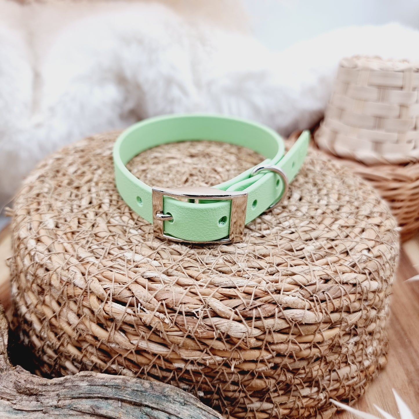 Pistachio (SI) - Biothane Dog Collar