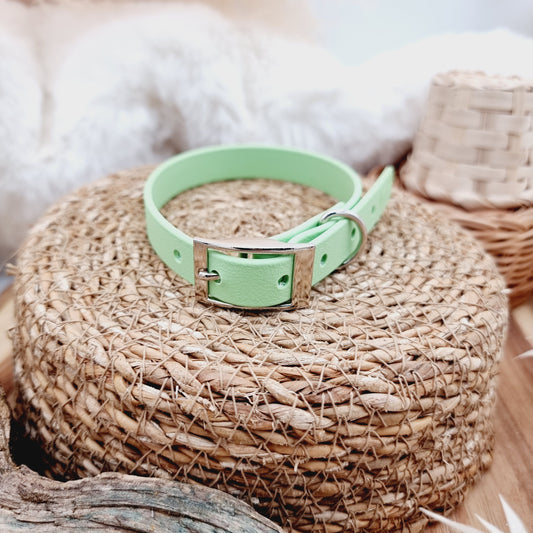 Pistachio (SI) - Biothane Dog Collar
