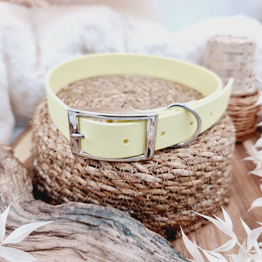 Lemon (SI) - Biothane Dog Collar