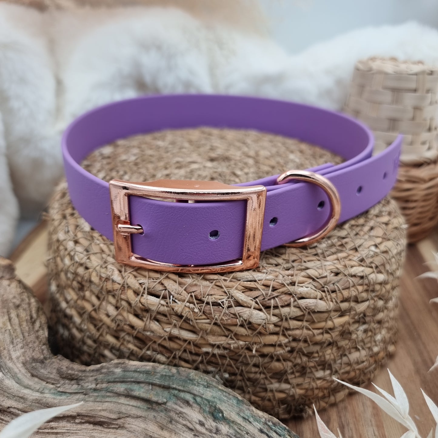 Amethyst (RG) - Biothane Dog Collar