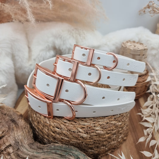 White (RG) - Biothane Dog Collar