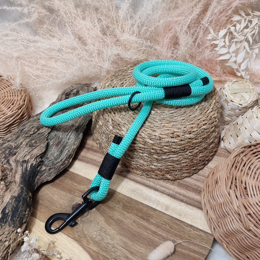 Mint / Black (BL) (120cm length) Rope Dog Lead