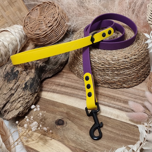 Purple & Yellow BL - (120cm length / Reg) Waterproof Webbing Dog Lead