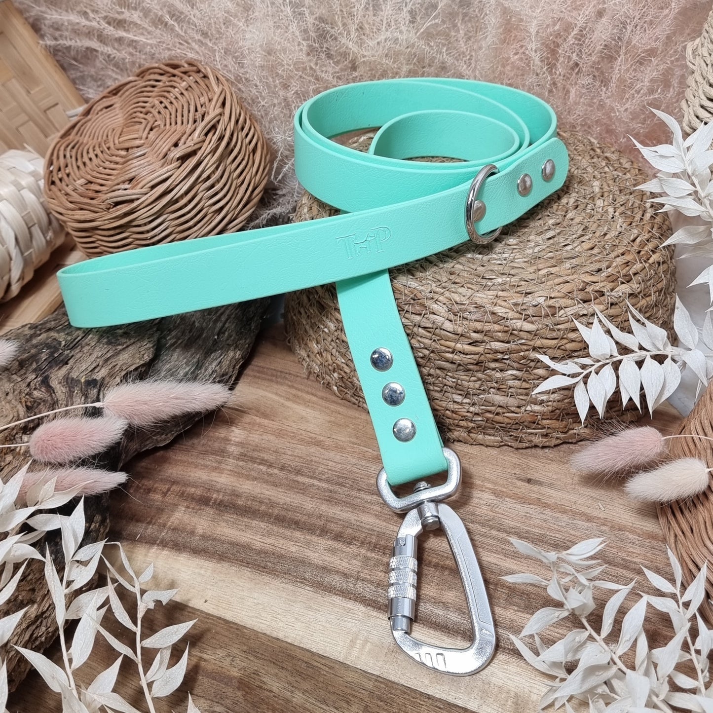 Mint - Everl. Range (120cm length / 25mm Wide) Biothane Dog Lead