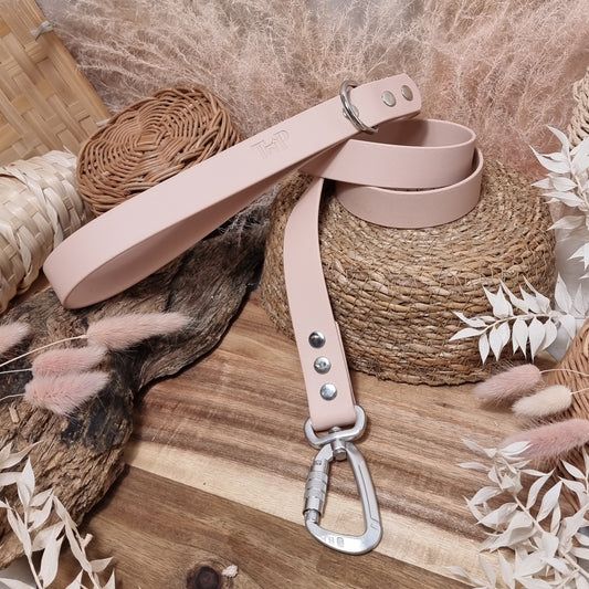 Powder Pearl - Everl. Range (120cm length / 25mm Wide) Biothane Dog Lead