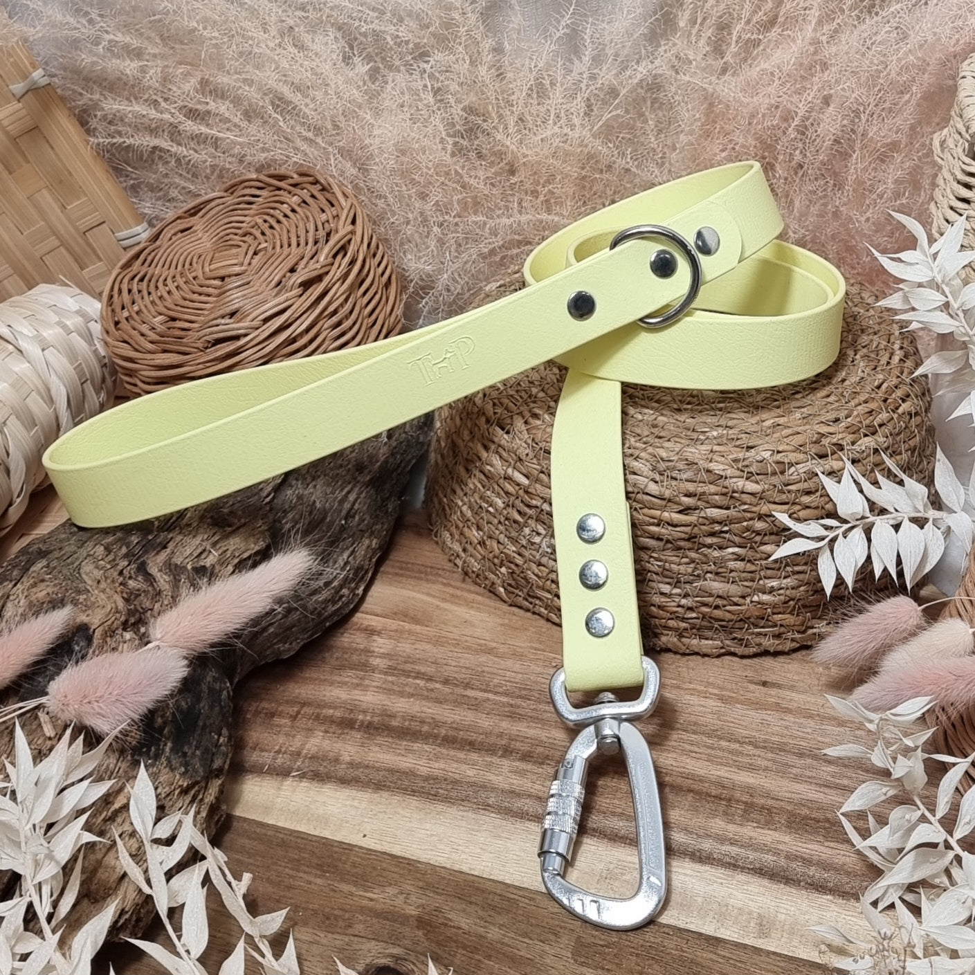 Lemon - Everl. Range (120cm length / 25mm Wide) Biothane Dog Lead