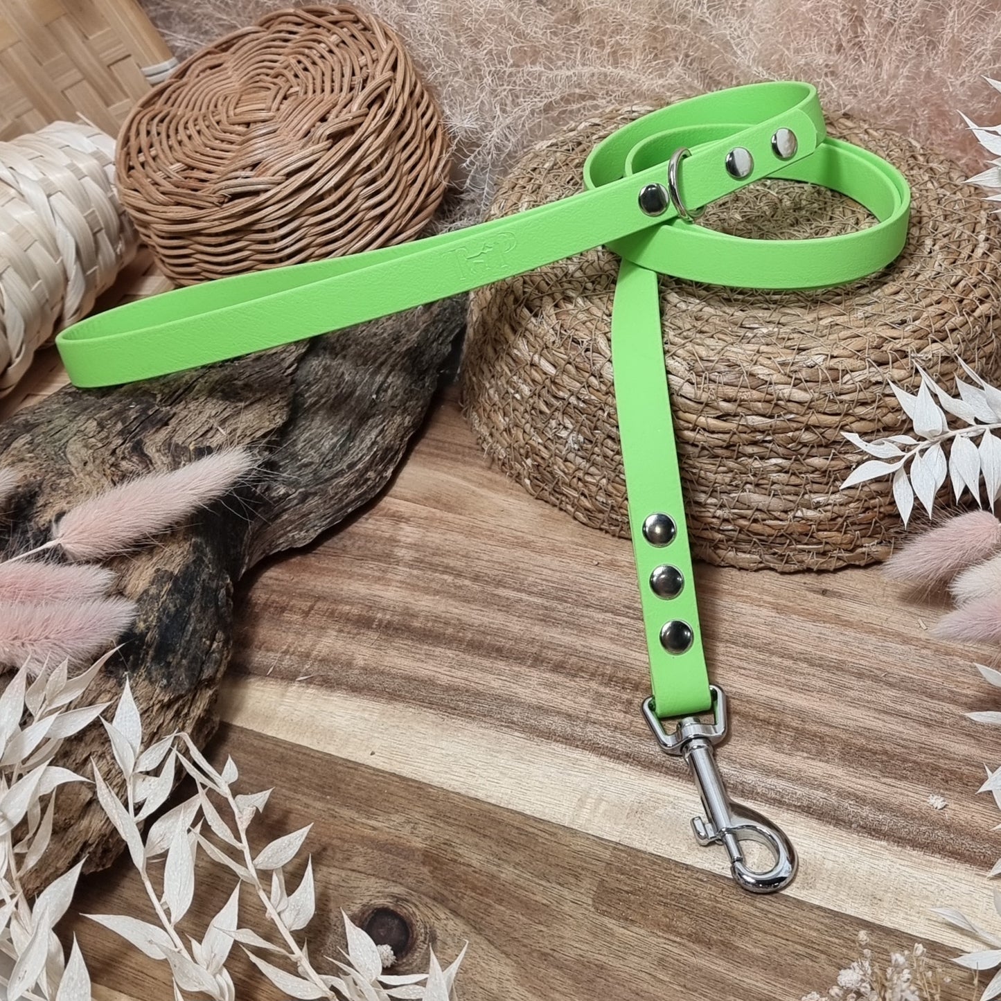 Pistachio - (120cm length / Slim) Biothane Dog Lead