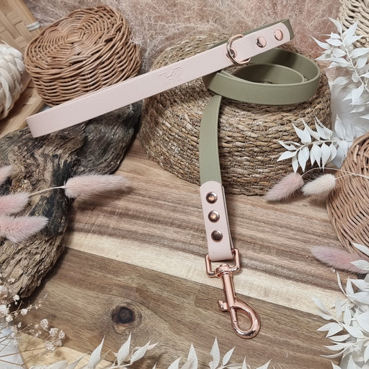 Clay & Powder Pearl RG - (120cm length / Regular) Biothane Dog Lead