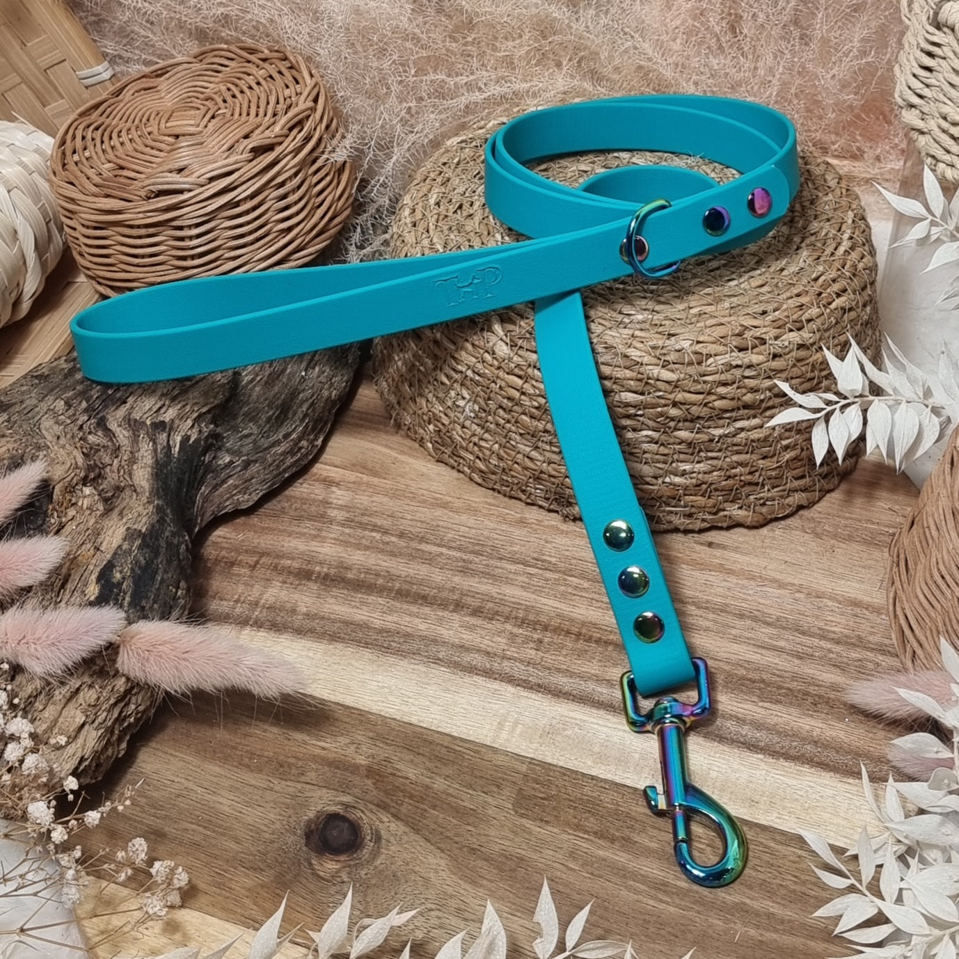 Teal RB- (120cm length / Regular) Biothane Dog Lead