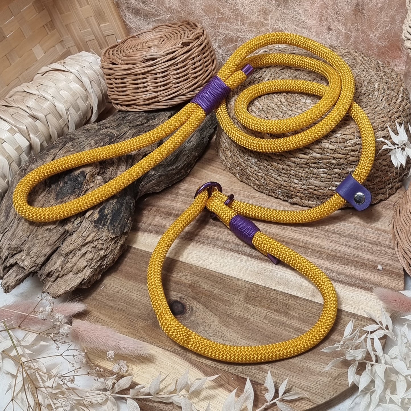 Goldenrod & Purple - (130cm length / 10mm Rope) Rope Dog Slip Lead