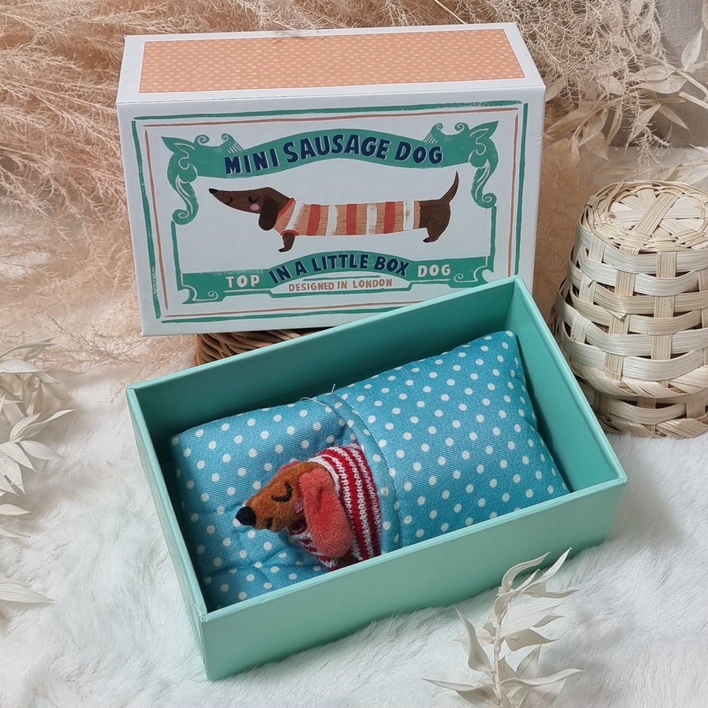 Sausage Dog In A Little Box Toy