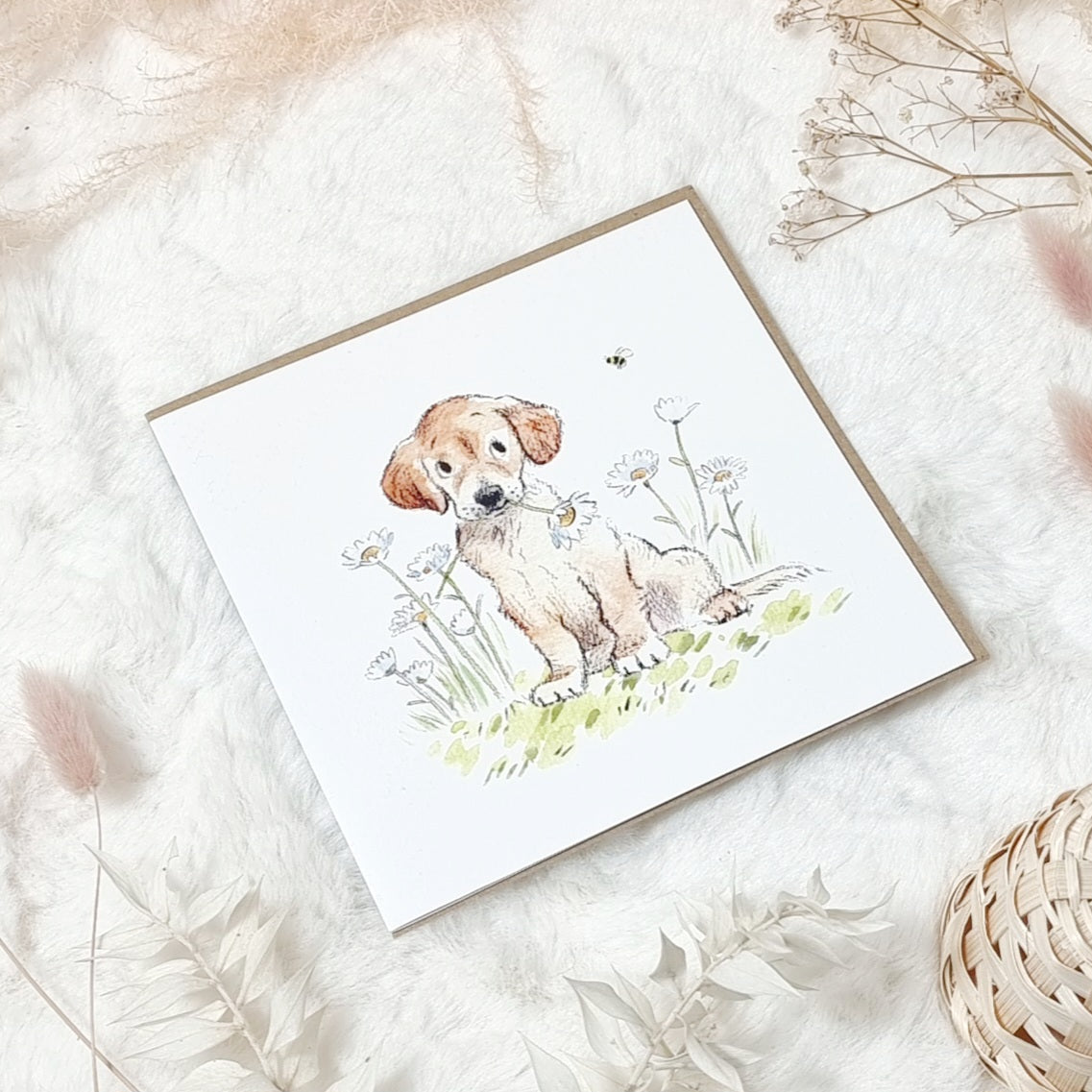 Greeting Cards - Dog themed various designs