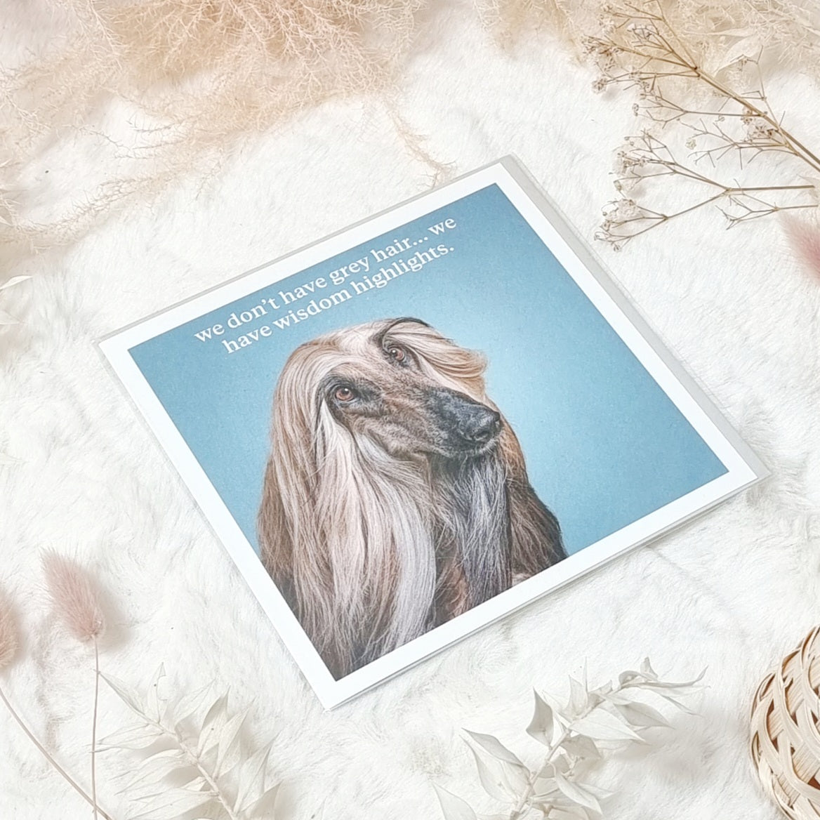 Greeting Cards - Dog themed various designs