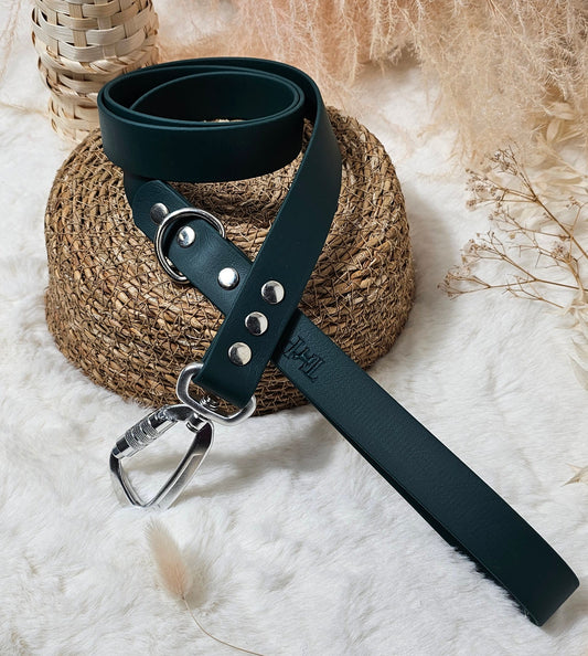 Dark Green - Everl. Range (120cm length / 25mm Wide) Biothane Dog Lead