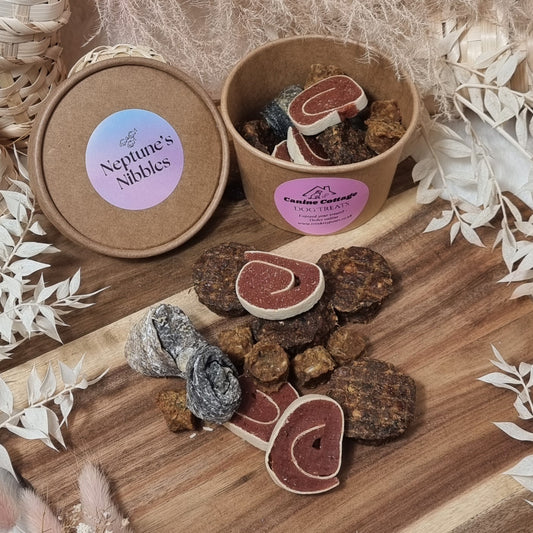 Neptune’s Nibbles – Gourmet Fish Treat Pot 🐟🌊 (no chicken, no grains)