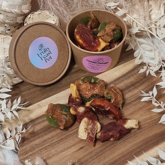 Fruity Feast – Gourmet Treat Pot 🍎🍌🐾 (grain-free)