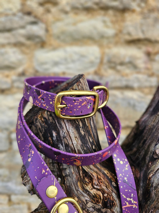 Celestial Aubergine - Biothane Splatter Dog Collar