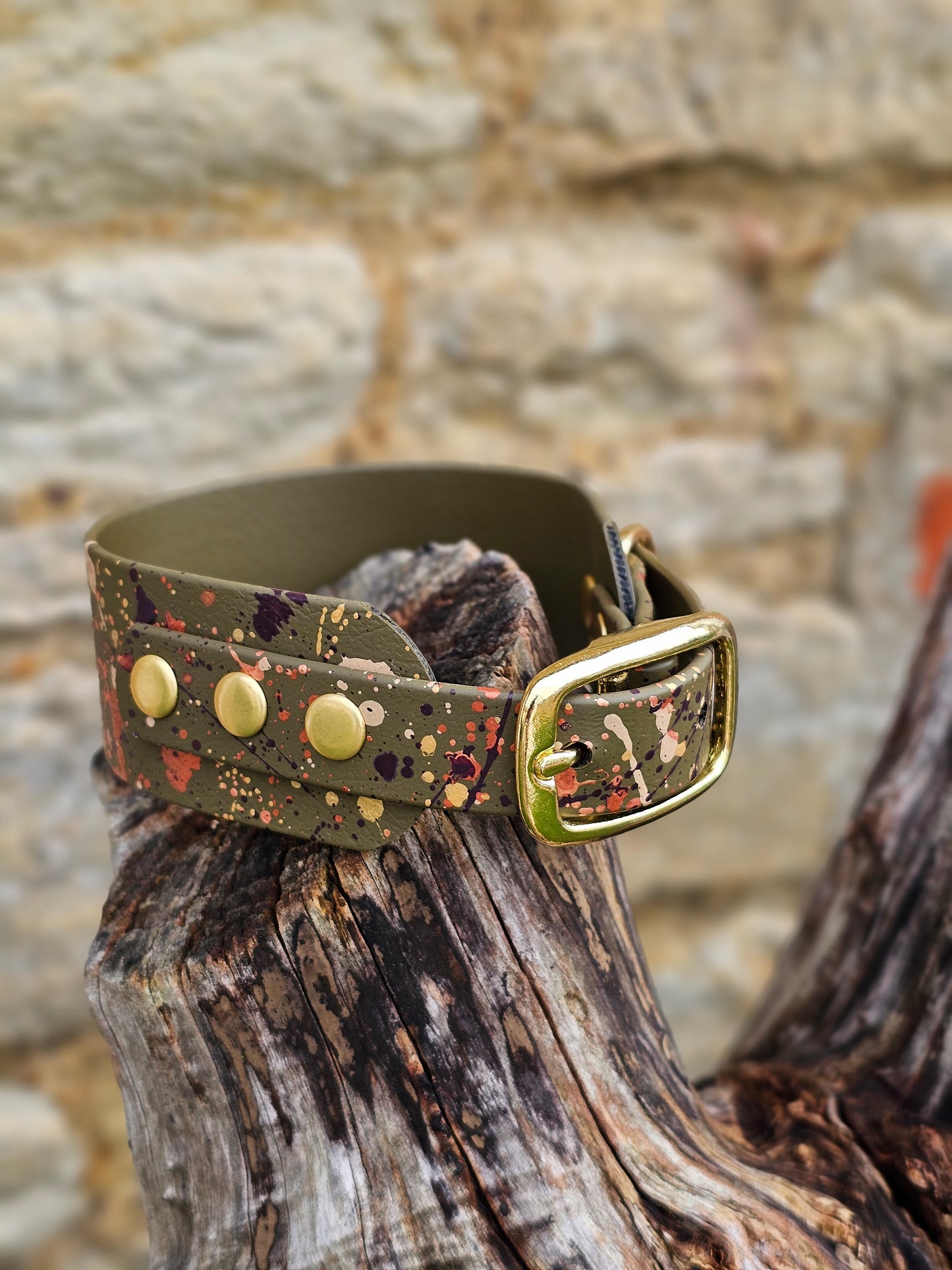 Olive Celestial - Splatter Sighthound / Wide Dog Collars