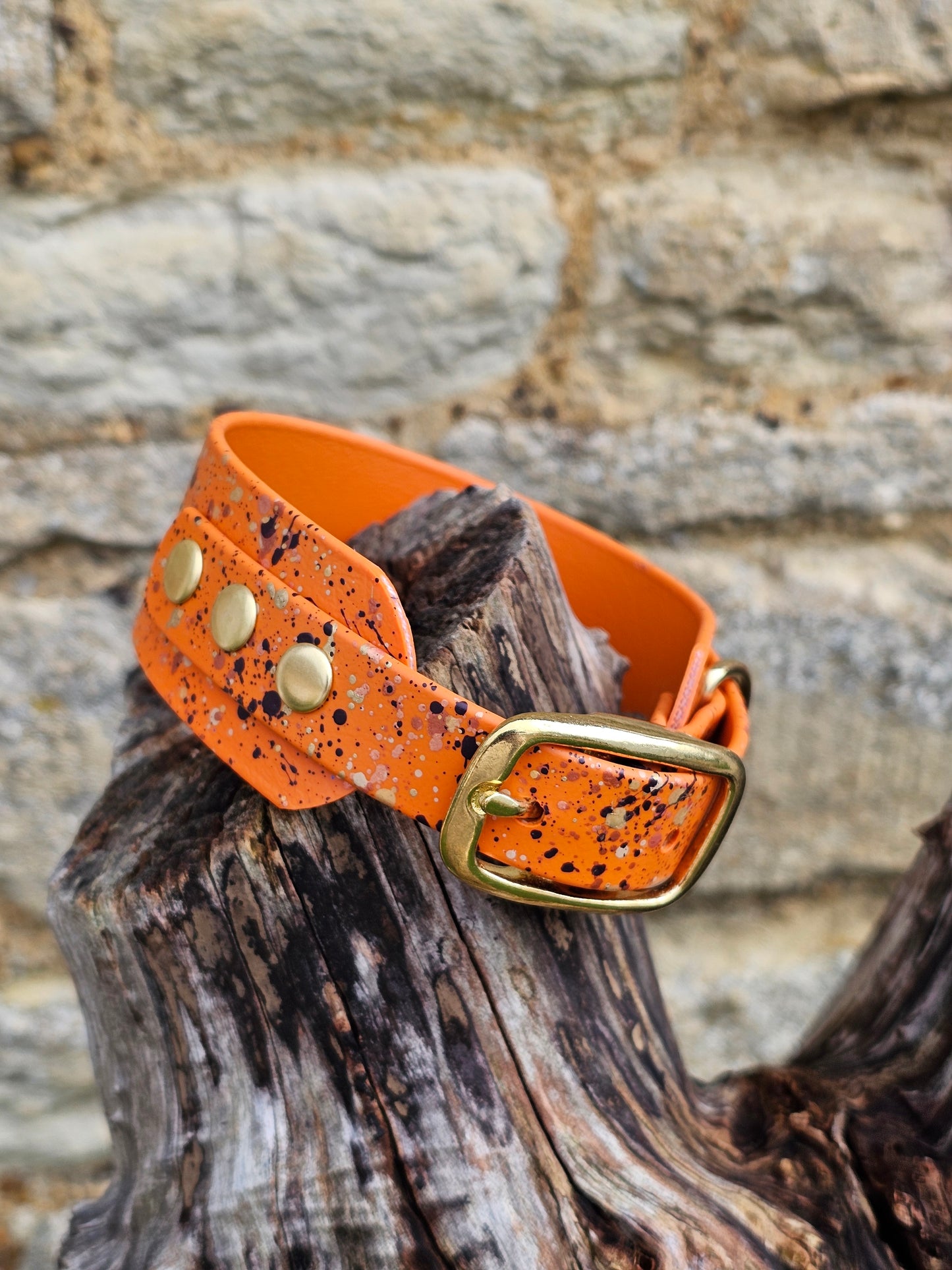 Burnt Orange Celestial - Splatter Sighthound / Wide Dog Collars