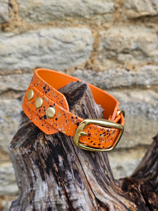 Burnt Orange Celestial - Splatter Sighthound / Wide Dog Collars