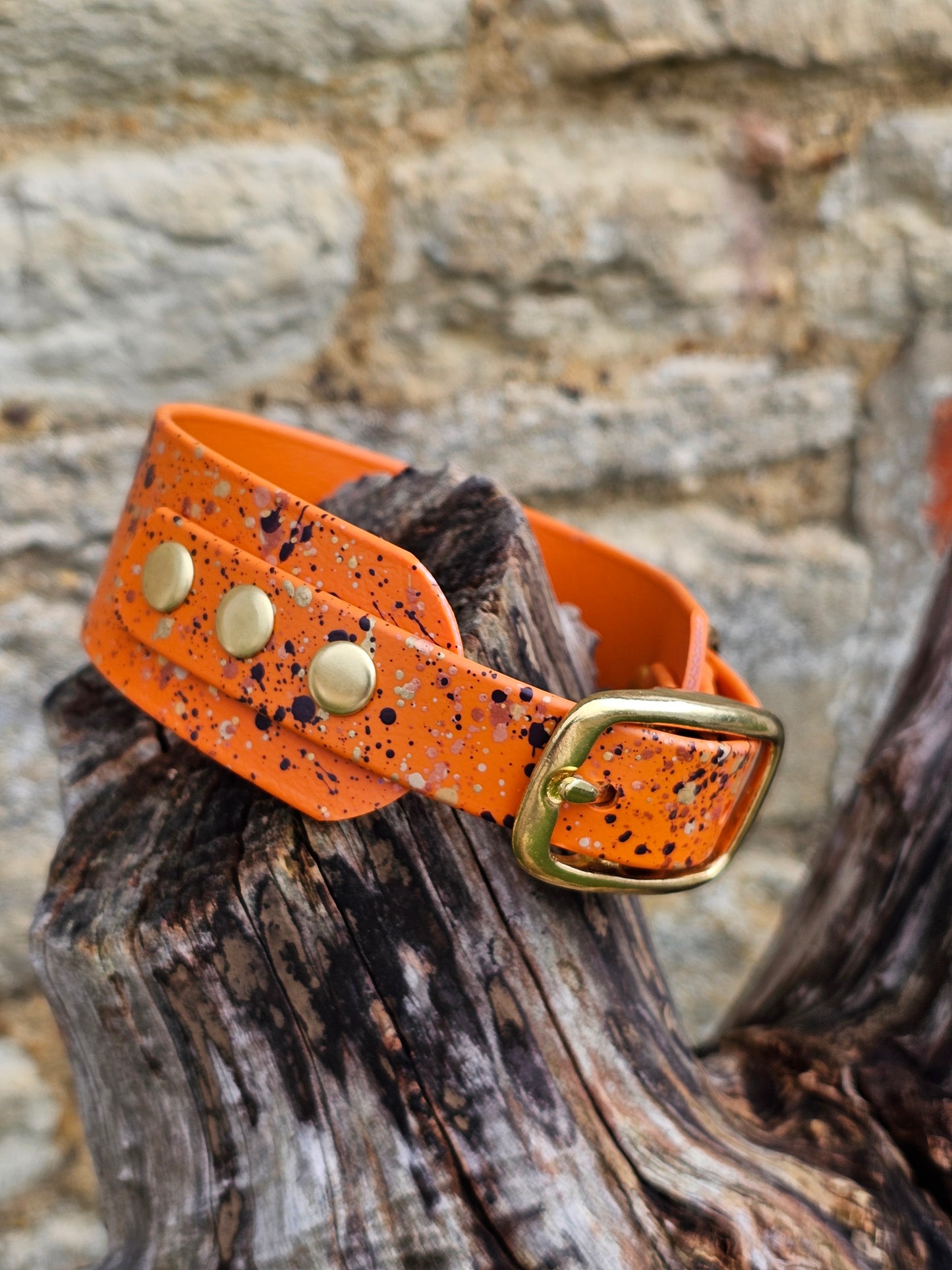 Burnt Orange Celestial - Splatter Sighthound / Wide Dog Collars