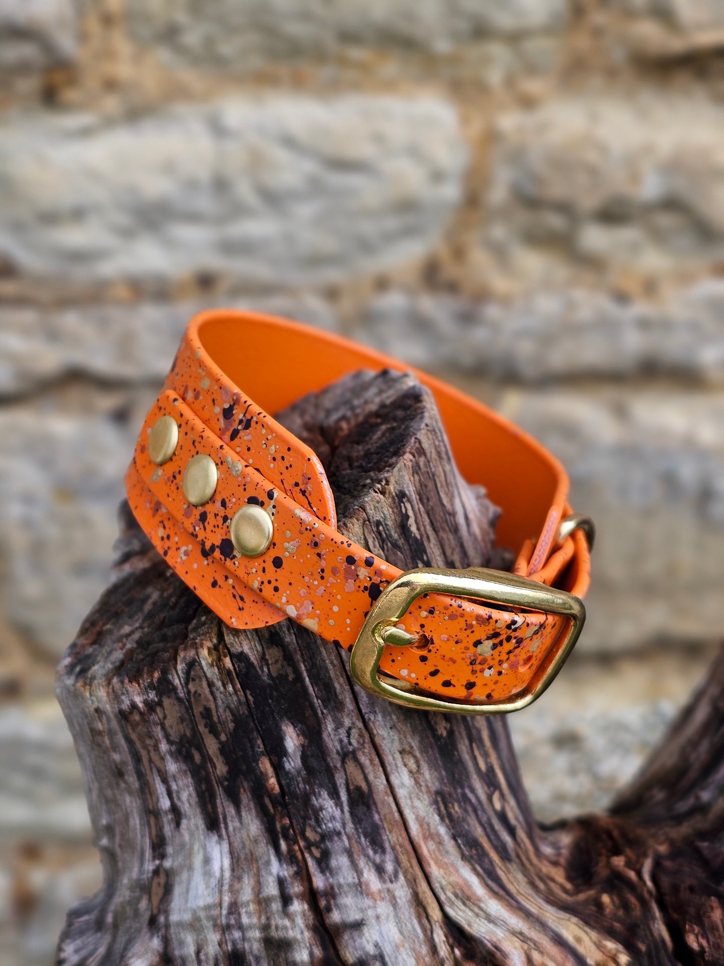 Burnt Orange Celestial - Splatter Sighthound / Wide Dog Collars