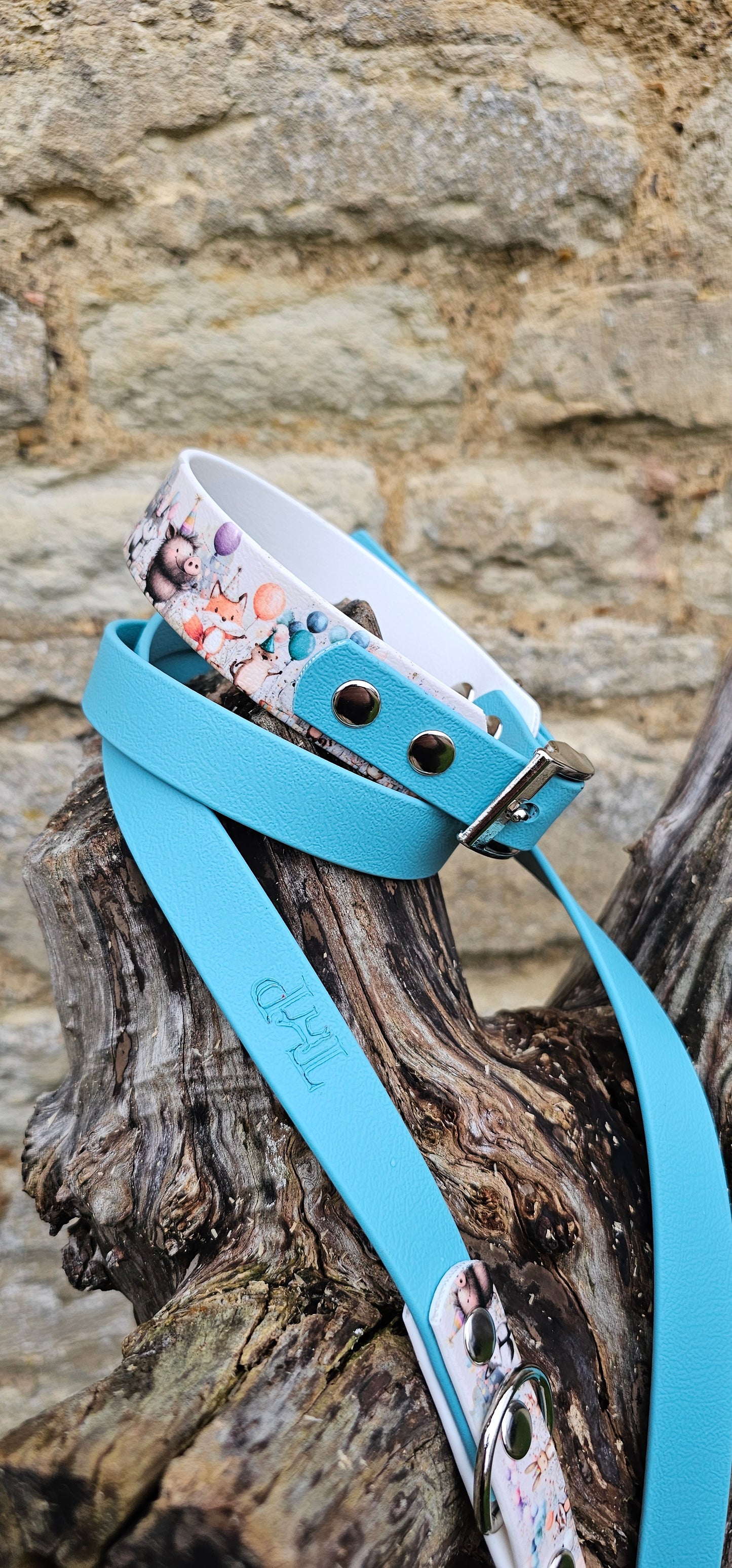 Woodland Party Boy - Printed Waterproof BioThane© Dog Collar