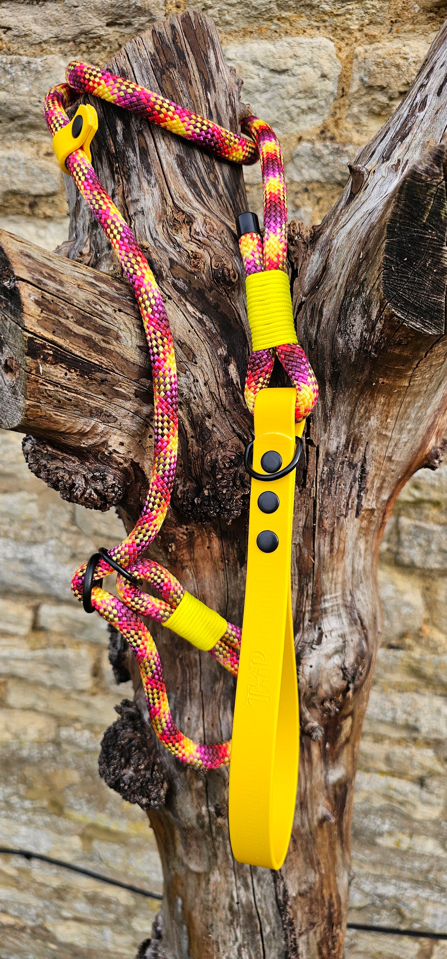 Cocktail - Classic Rope Slip Lead / Figure 8 Dog Lead