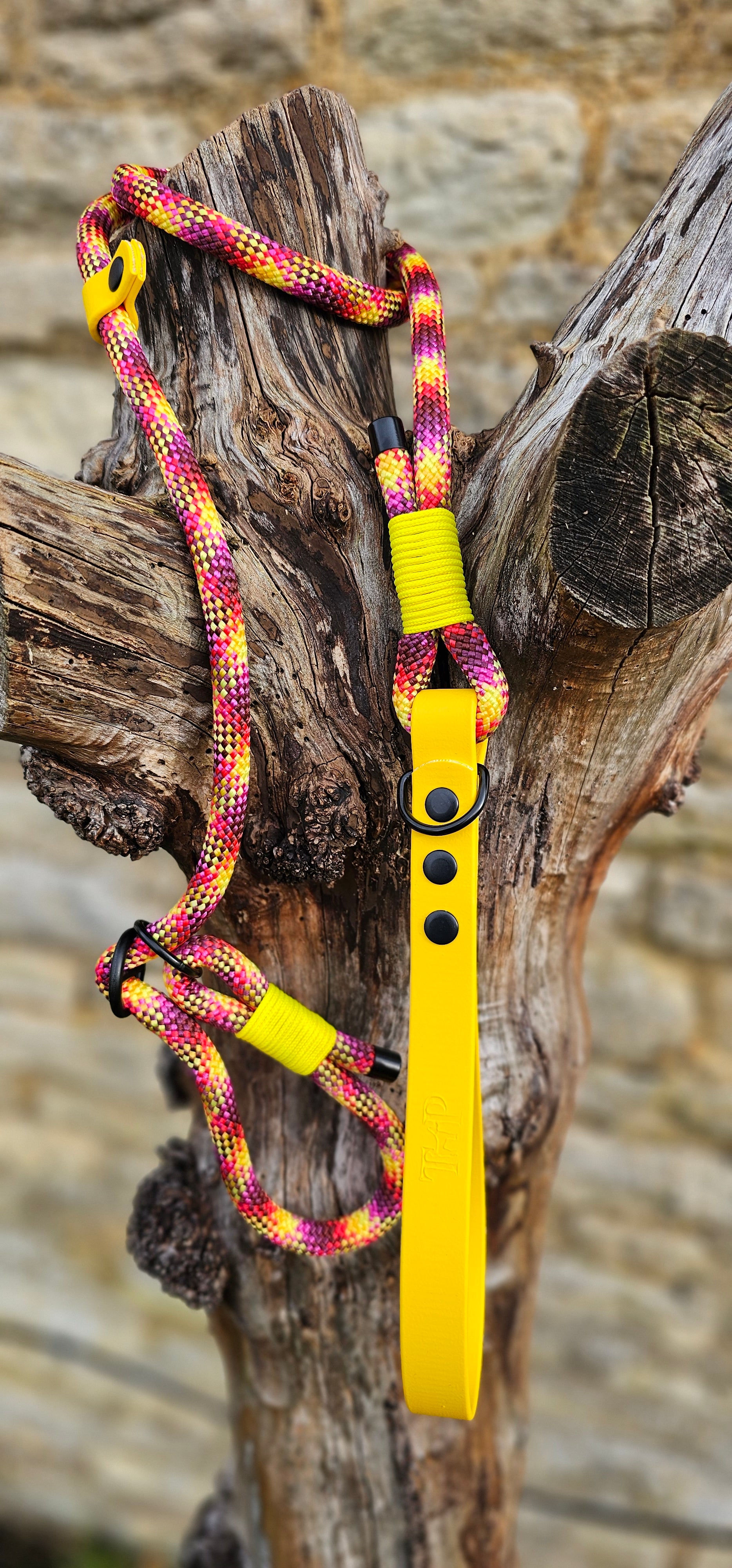 Cocktail - Classic Rope Slip Lead / Figure 8 Dog Lead – Trinkety Paws